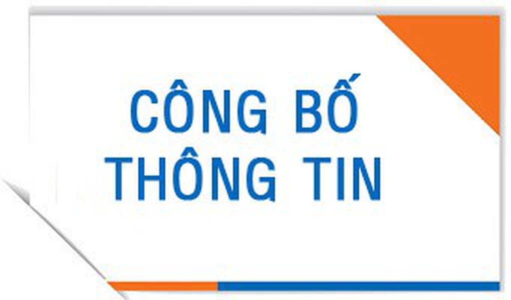 Công Bố Thông Tin Lựa Chọn Đơn Vị Kiểm Toán Cho Năm Tài Chính 2023