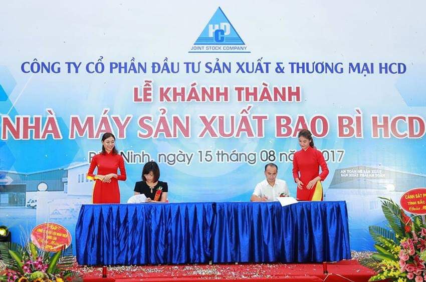 BÁO CÁO TÀI CHÍNH QUY II/ 2019