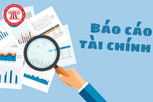 Báo Cáo Tài Chính Quý 2 Năm 2026
