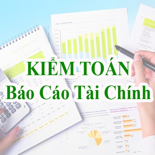 Báo cáo tài chính kiểm toán năm 2021